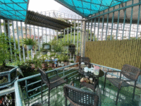 CƠ HỘI HIẾM, NHÀ MẶT TIỀN ĐƯỜNG 385, GIÁ CHỈ 7 TỶ, CHỦ BÁN NHANH ĐỂ XỬ LÝ TÀI CHÍNH