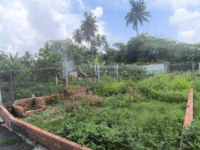 Chủ cần thanh khoản đất nền Đường 102, Tăng Nhơn Phú A, Tp. Thủ Đức, chỉ 5.2 tỷ