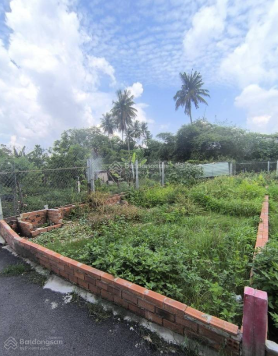 Screenshot 2025-08-03 115305