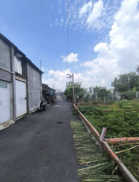 Screenshot 2025-08-03 115316